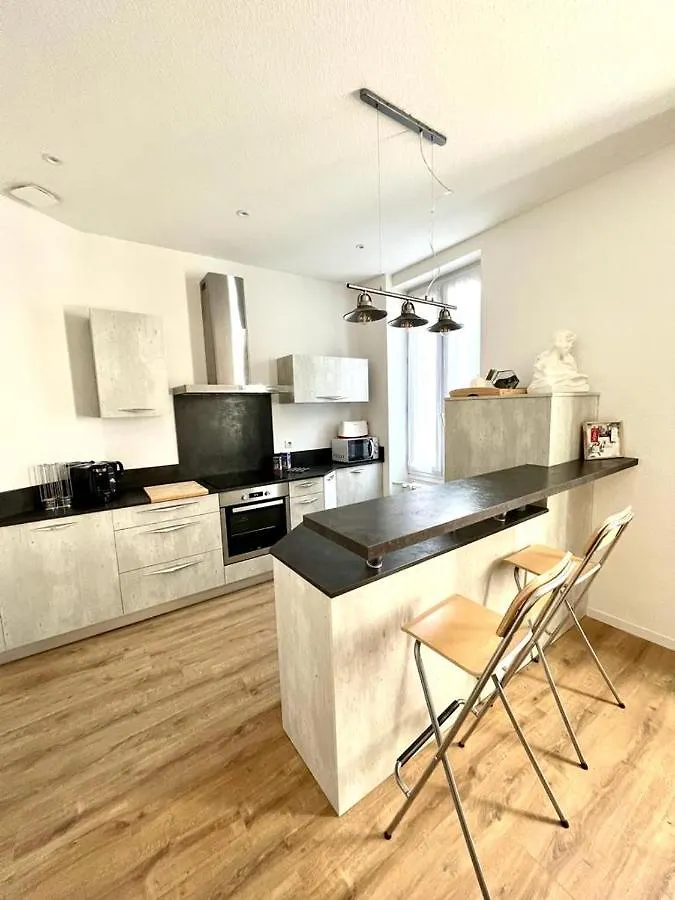 Appartement Le Gamay - Charmant T2 Avec Parking Et Terrasse Châtel-Guyon France